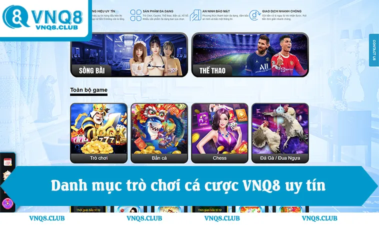 Giới Thiệu VNQ8 2 Danh mục trò chơi VNQ8 uy tín từ cá cược đến casino