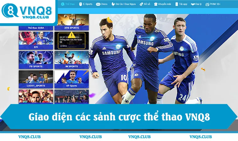 Thể Thao VNQ8 1 Giao diện các sảnh cược thể thao VNQ8 trực tuyến ổn định