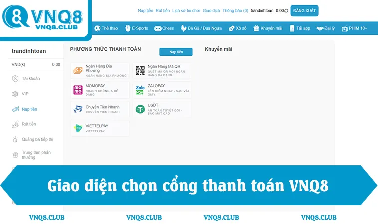Nạp Tiền VNQ8 1 Giao diện chọn cổng thanh toán trong cách nạp tiền VNQ8