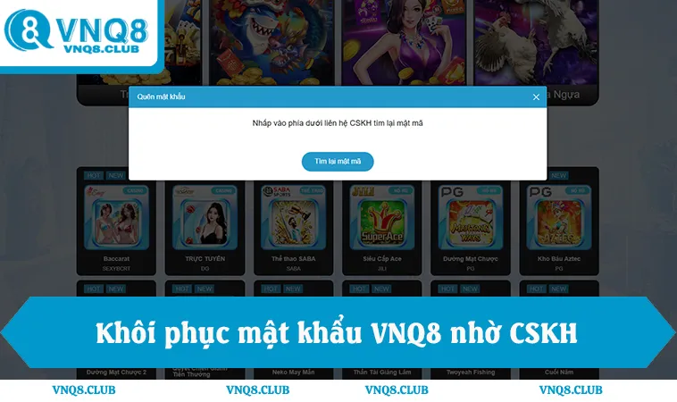 Đăng Nhập VNQ8 3 Khôi phục mật khẩu VNQ8, biểu mẫu quên mật khẩu, hỗ trợ CSKH