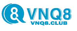 vnq8.club
