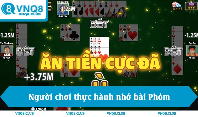 Người chơi thực hành nhớ bài Phỏm để quản lý bài hợp lý