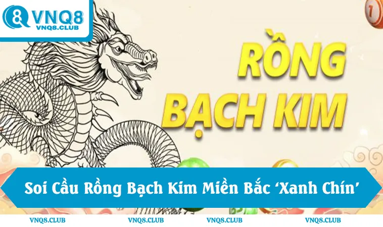 Soi Cầu Rồng Bạch Kim Miền Bắc Và 4 Kinh Nghiệm Vàng